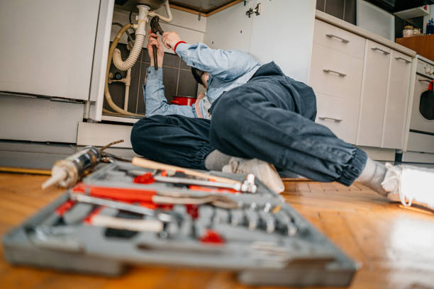 Best Water Softener Installation  in Laurel Springs, NJ